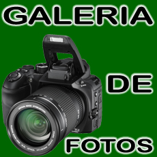 GALERIA DE FOTOS